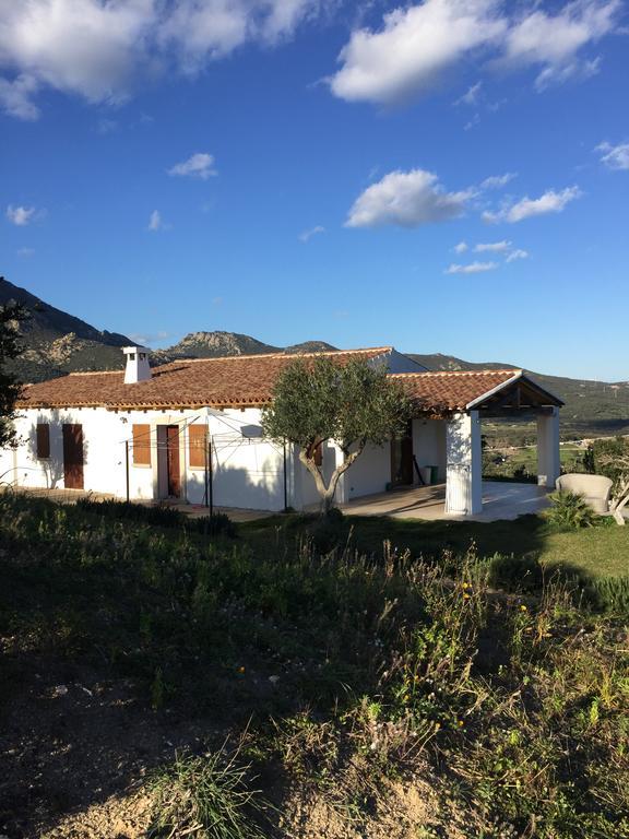 Villa Alba Esclusiva Villa Con Piscina A Sfioro E Vista Mozzafiato Sul Mare クニャナ エクステリア 写真