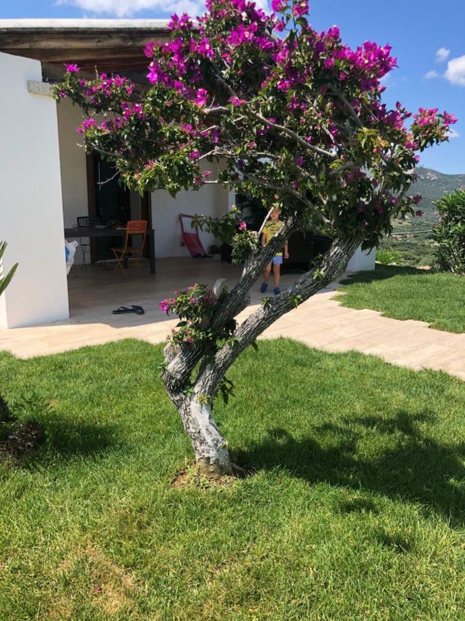 Villa Alba Esclusiva Villa Con Piscina A Sfioro E Vista Mozzafiato Sul Mare クニャナ エクステリア 写真
